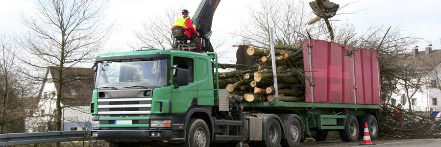 Kranfahrzeuge Kranfahrzeuge